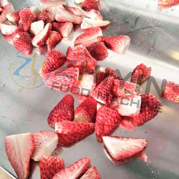 Food Fruit And Vegetable Slices Freeze Drying Machine Vacuum Freeze-drying equipment