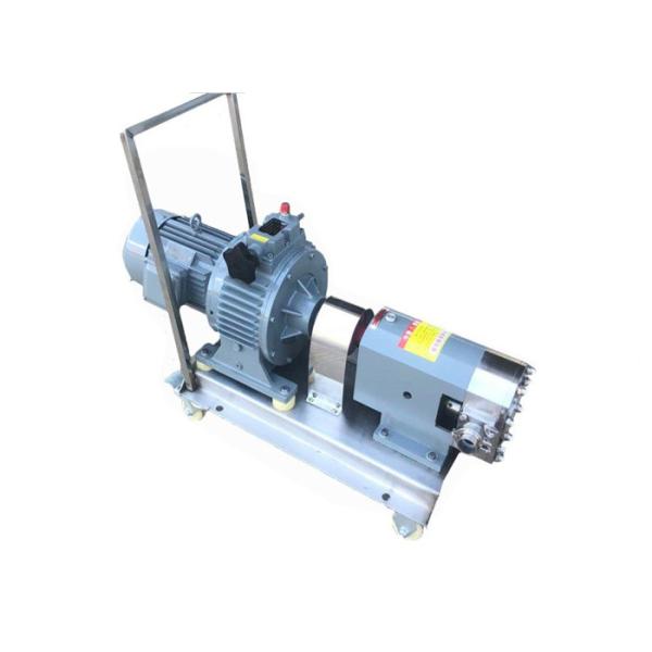 Movable Stainless Steel Lobe Pump , Sanitary Positive Displacement Pump