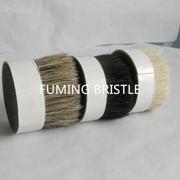 57mm white boiled mix bristles hankow bristles 60% tops