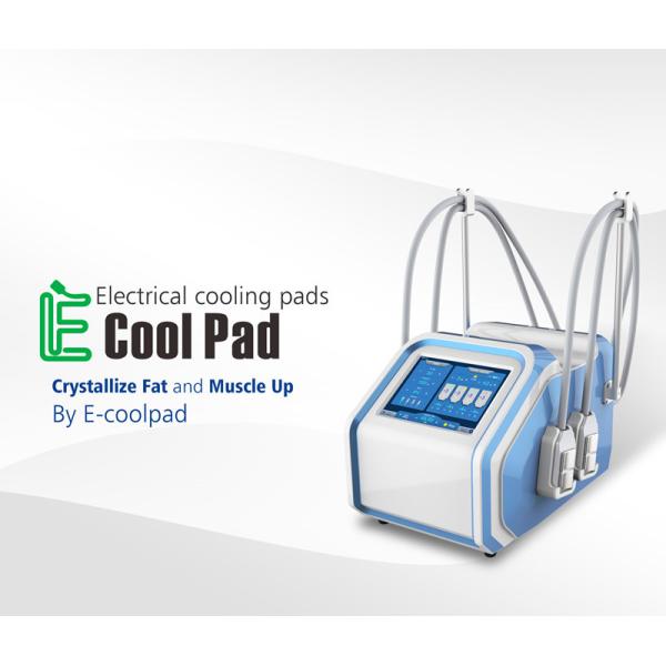 Салон красоты Euqipment машины CRYO Cryolipolysis EMS для потери Weilght с 4 ручками
