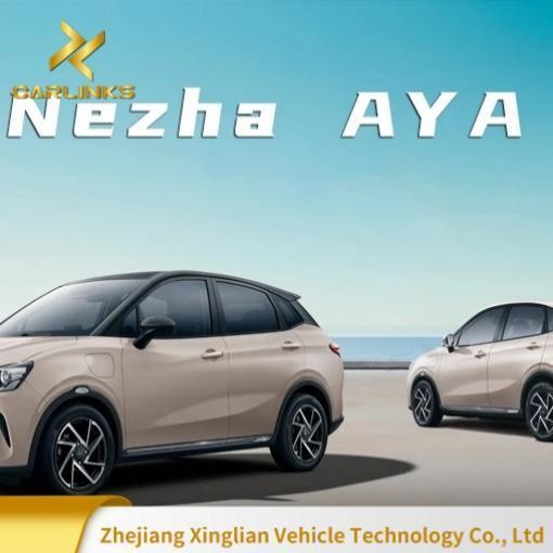 Neta Aya Pure Electric Range 401 Kilometers Fast Charging 0.5 Hours Low-Priced Car