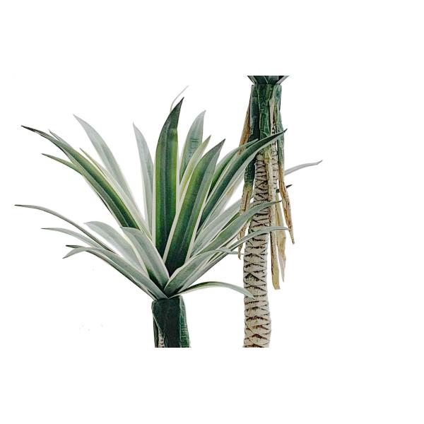 Дерево 100КМ 134КМ 166КМ бонзаев гибкого столетника растительности клея Американа искусственное