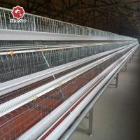 160 pássaros/ajustaram o equipamento de cultivo automático completo das aves domésticas do sistema da gaiola de bateria