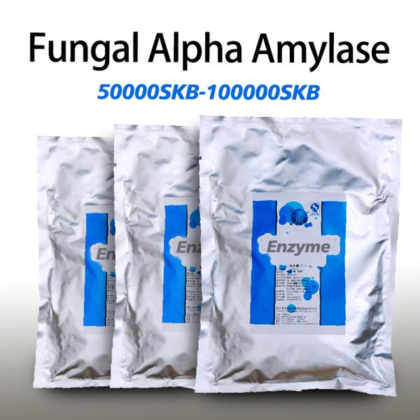 enzymes de boulangerie Fungal α-amylase 100000SKB spécifications d'activité enzymatique personnalisées