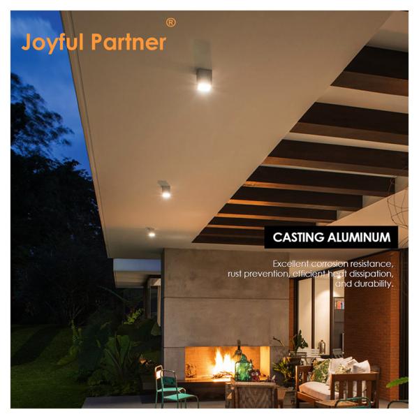  LED Wall Washer Light Outdoor Luminaire IP65 Waterproof 8W LED 12V 24V 220V Surface Mounted For Decoration