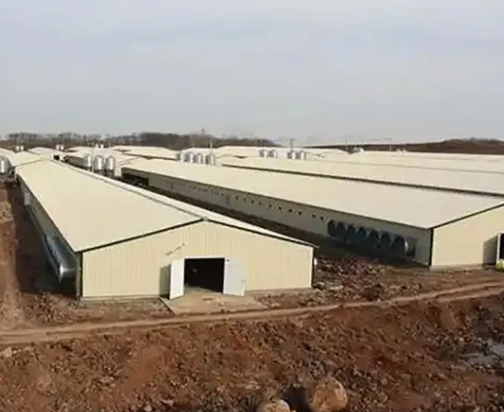 Eco-Friendly Wind & Rain Resistant Steel Poultry House with 40-Year Warranty