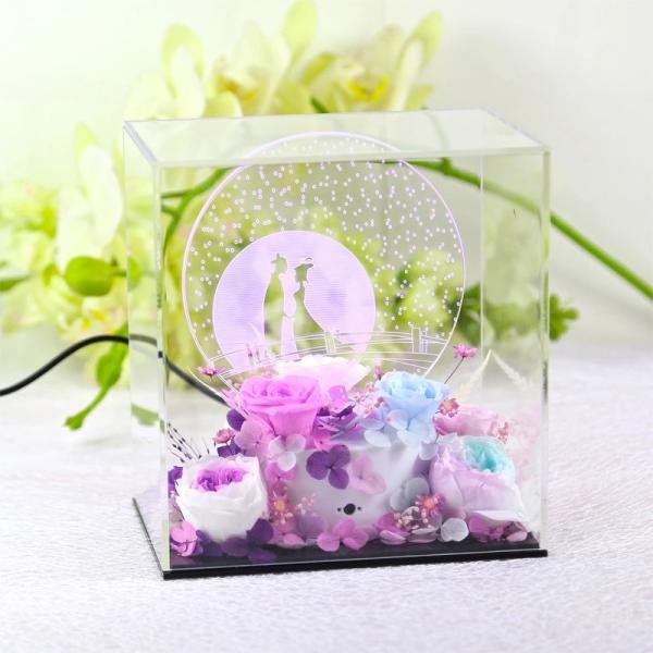 Preserved flower with 3D light real infinity flower gift Natural Fresh flower rose