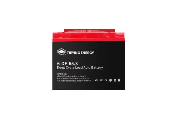 Stockage de l'énergie solaire 65Ah Rechargeable à cycle profond batterie au plomb acide 6-DF-65 222*148*174MM 15,8+-0,2kg