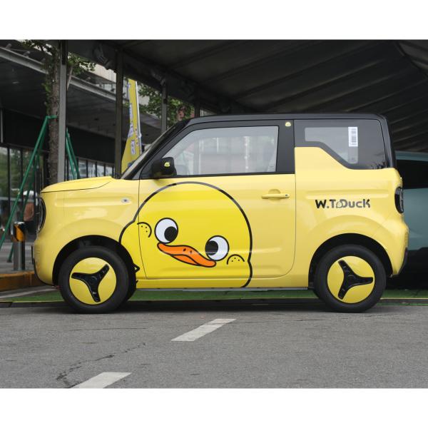 GEELY Panda Китайский мини-электрический автомобиль EV Максимальная скорость 100 км/ч Для городского транспорта