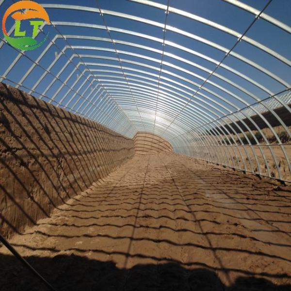 Chinese Style Metal Frame Solar Prefab Tomato Greenhouse for Outdoors and Agriculture