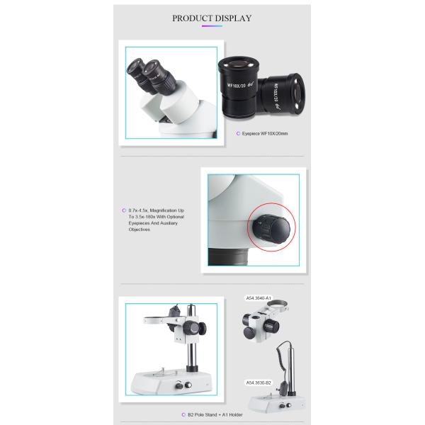 Halogen Lamp Binocular Stereoscopic Microscope 12v 15w Good Color Rendering