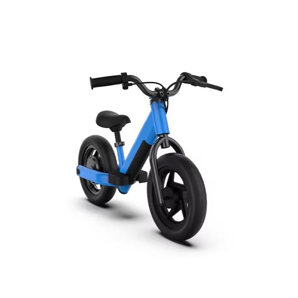 2024 AOTONG MOTOR Electric 2 Wheel Balance Scooter with Disc Brake and 16