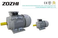 Motor eléctrico trifásico del arrabio IP44 0.75kw 1HP
