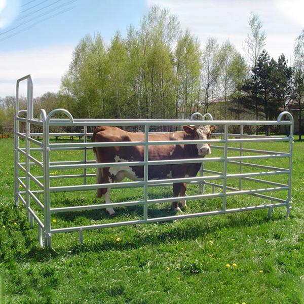 Australia Portable Farm Livestock Steel Fence Panels Galvanized For Cattle