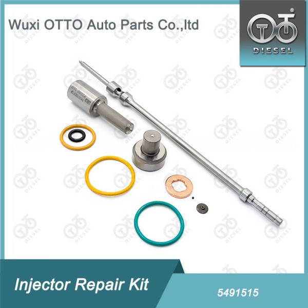 Common Rail Injector Repair Kit 5491515 