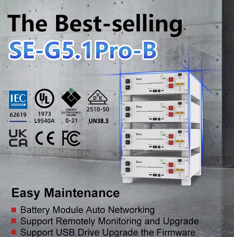 Deye 51.2V100Ah Rack Mount Lithium Battery 5kwh 10kwh 15kwh 20kwh 30kwh Low Voltage Deep Cycle 48V Lithium Battery