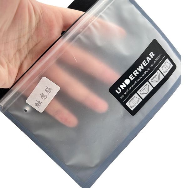 Stand Up Pouch Custom Printing Clear Window Resealable Zipper Bags with Hang Hole Heat Sealing Perfect Underwear Towel Mask
