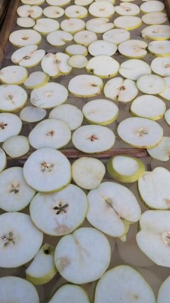 Sun Drying Organic Dried Pears Natural Dried Pear Slices HALAL