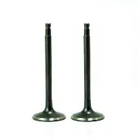 High-quality Intake Valve 04E 109 601 AB for Imported Volkswagen Passat