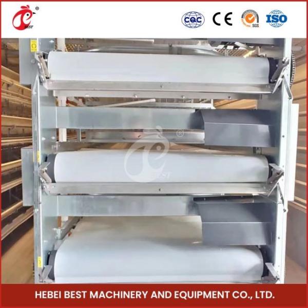 Hot Galvanized 20 Years Lifespan Full Automatic Feeding Manure Cleaning And Egg Collection System Cage Sell Adela