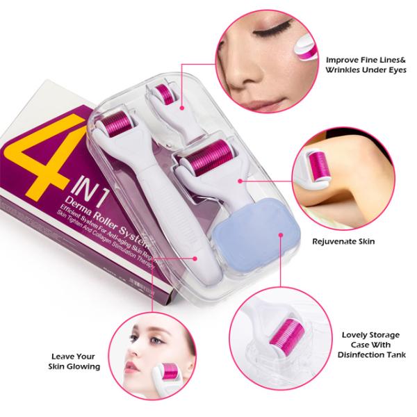 Stainless Steel/Titanium Dermaroller for Lips 4 in 1 Micro Needle Kit