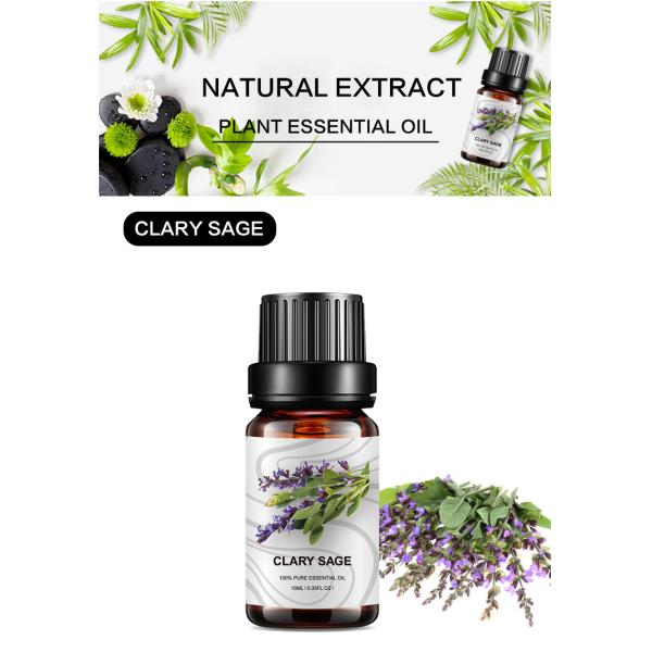 органический спа отражетеля тела ароматерапии эфирного масла шалфея Clary 10ml