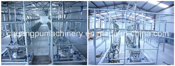 Glass Bottle Cow Herringbone Milking Parlor System with Glass Milk Meter and CIP Cleaning System for 16 to 64 Cows