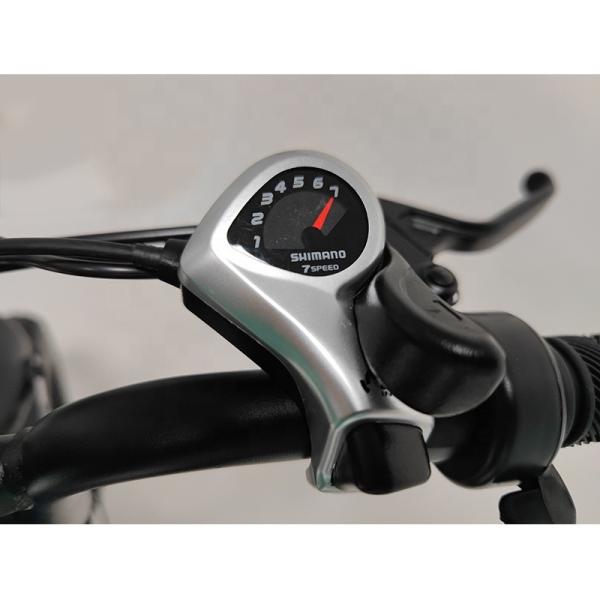500w 48v Front Light Electric Bike Fat Tire Ebike Off Road Full Suspension Retro Fat Bike