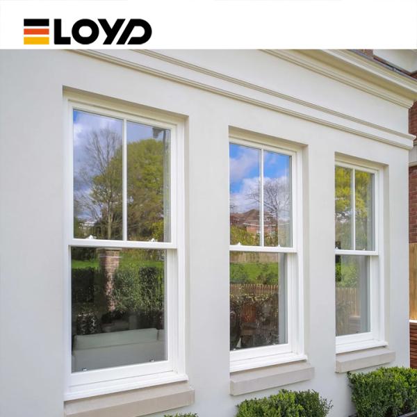 Double Single Hung Window with 5+18A+5mm Tempered Glass
