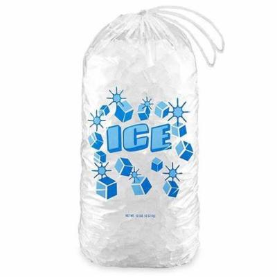 Saco reusável do armazenamento de gelo do espaço livre 8lb 10lb 20lb do PE com cordão