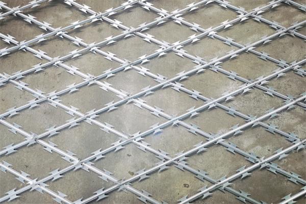 Galvanized Welded Razor Wire Mesh 1800mm 2000mm Concertina Wire Fence