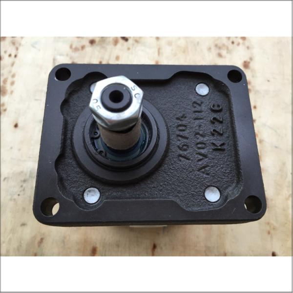 Rexroth Hydraulic Pump HYZFS1111R169 Cast Iron Durable Smooth Operation Flexible Installation