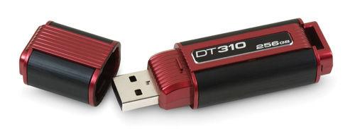 O flash marcado de USB conduz DT310