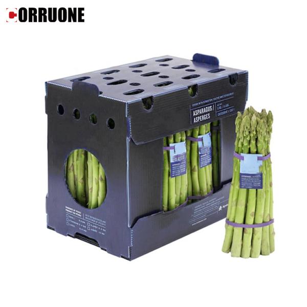 Коробка сота ящиков для хранения Корфлейт брокколи рифленая для плодов