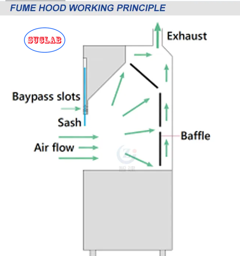 Explosion-proof Ducted Fume Cupboard White Gray Blue Selections Engineered for Fume Containment and User Protection in Labs