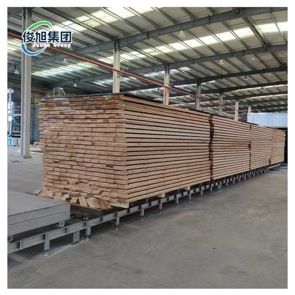 Customized Capacity Fully Automatic Wood Thermal Modification High Temperature Kiln For Producing High Quality Wood