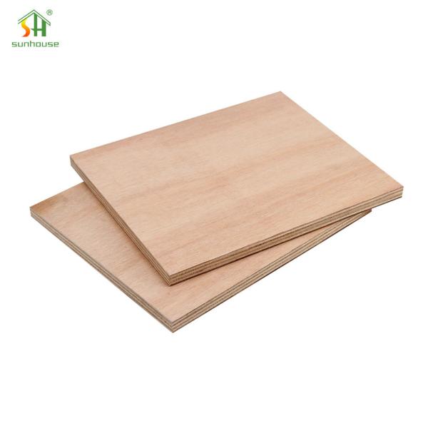 Termite Proof Melamine Plywood Melamine Plywood Board for Interior Exterior Decoration Use