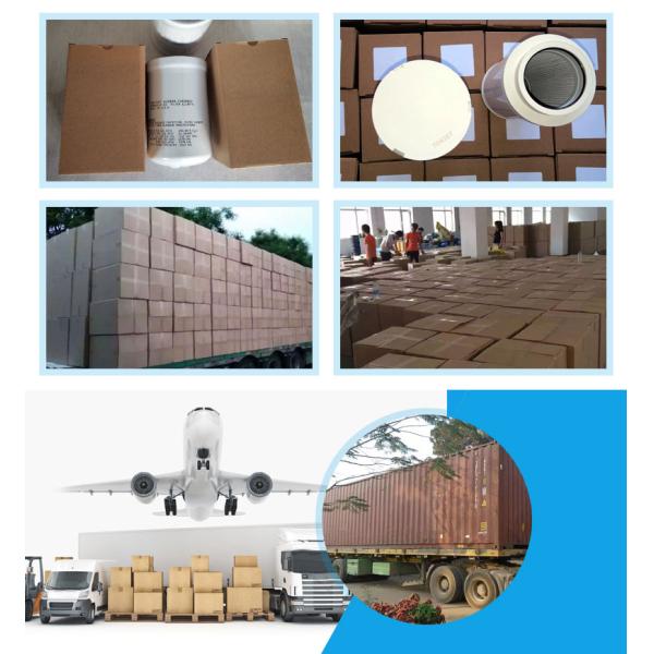 P551088 Lube Oil Filter Cartridge P551088 3809364 3006383C1