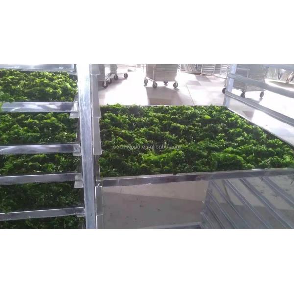 Wholesale  Seaweed Ulva Flakes Dried AOSA Aonori