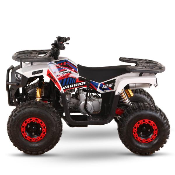 125CC Gas Powered ATVs for Adults Direct High Grade Ability ≥25° Displacement 125cc