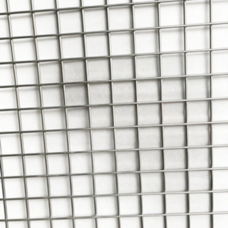 Hot Dipped After Welding Galvanized Welded Wire Mesh 1.2m×25m Outdoor Garden Protective Wire Netting