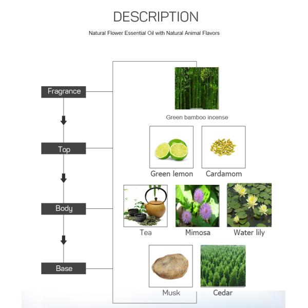 Green Bamboo Incense Plant Essential Oil For Aroma Diffuser Machine