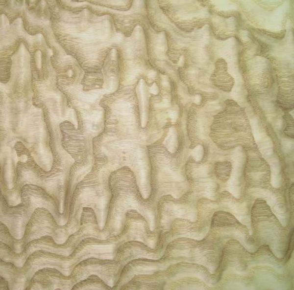 Sliced Cut Natural Ash Burl Wood Veneer Sheet