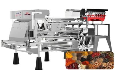 As especiarias do processamento de imagens colorem o tipo da correia da dupla camada de mais baixo dano da máquina do classificador