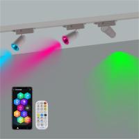 Lumières de piste LED montées sur le plafond du hall intérieur 24V 40W Dimmable RGBW Colorant