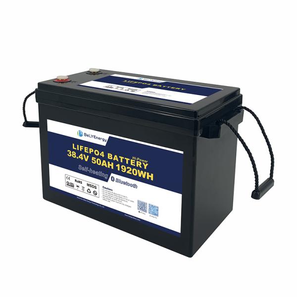 36V LiFePO4 Battery for Marine & Golf Cart Systems with N2K Communication