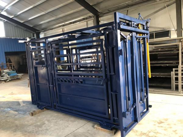 Blue Colour Painting Australia Standard Vet Cattle Crush Painting
