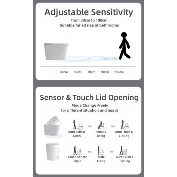 Siphon Flush Smart Intelligent Toilet Auto Flip Cover Sensor AC220v/50HZ