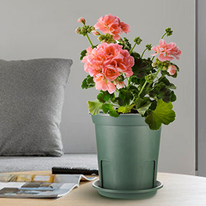 Planters for Indoor Plants, Planters with Drainage Hole and Tray, Flower Pots Indoor Plant Pots for Patio Garden