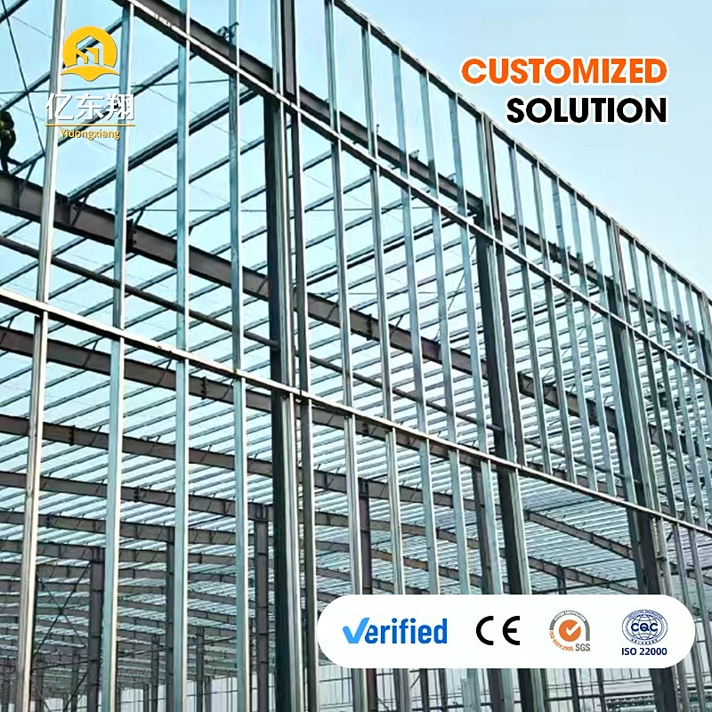 Quick Installation Steel Frame Building with Large Clear Span and Low Maintenance Cost